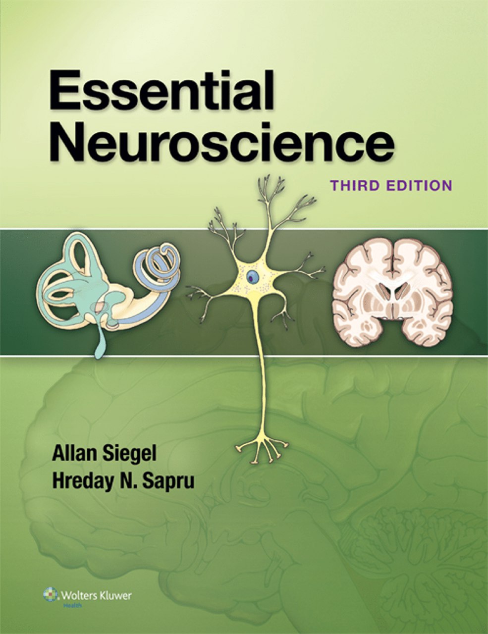 Essential Neuroscience book