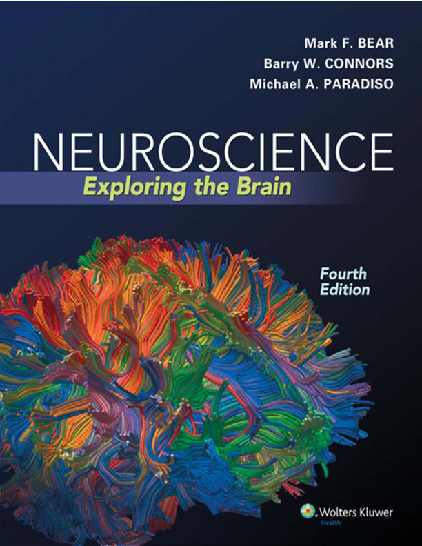 Exploring the brain book