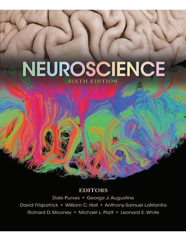 Neuroscience book