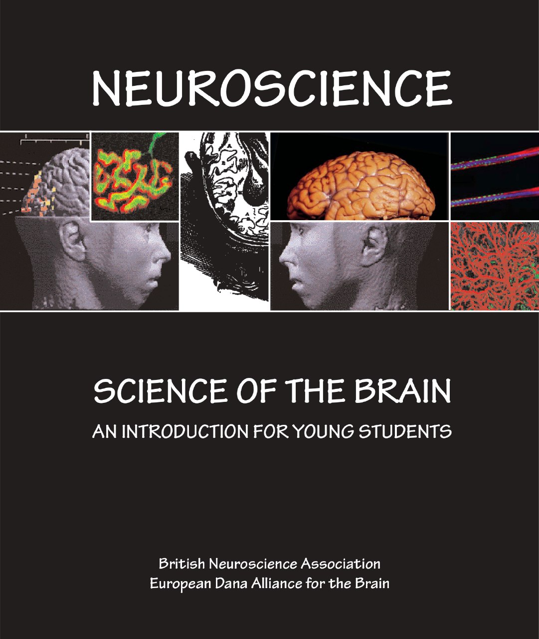 Science of the brain book